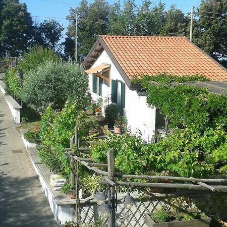 The Cottage Agerola Esterno foto